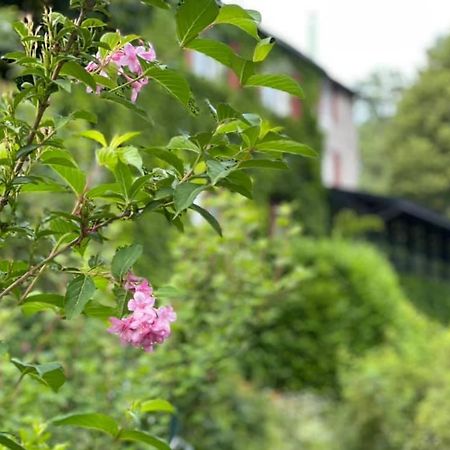 Les Grillons Du Morvan モンゾシュ エクステリア 写真